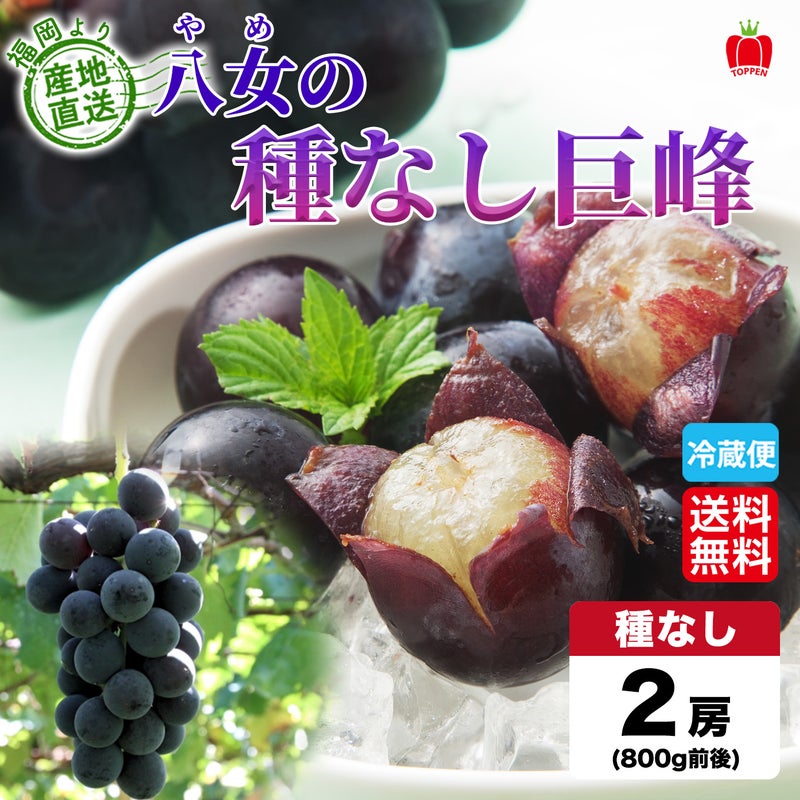 完熟　八女の種なし巨峰　２房（１房：400ｇ前後） 【送料無料】