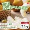 完熟　梨づくし定期便≪2.5㎏（6～10玉）／月1回お届け：7月～10月／4か月限定≫【毎月一律価格・送料無料】