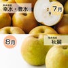 完熟　梨づくし定期便≪2.5㎏（6～10玉）／月1回お届け：7月～10月／4か月限定≫【毎月一律価格・送料無料】