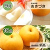 完熟　梨づくし定期便≪2.5㎏（6～10玉）／月1回お届け：7月～10月／4か月限定≫【毎月一律価格・送料無料】