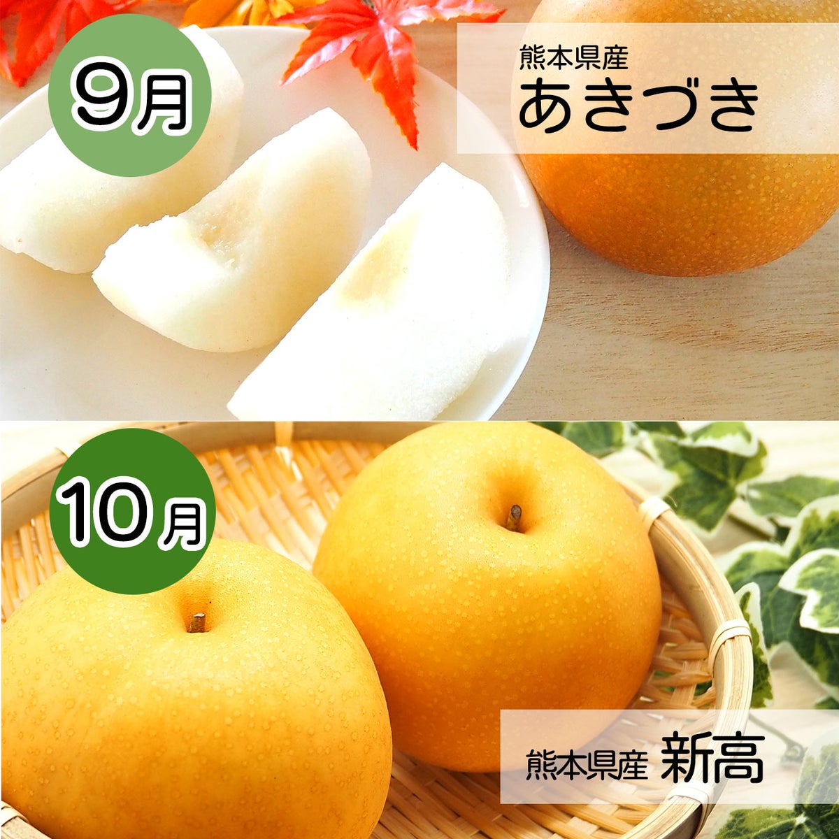 完熟　梨づくし定期便≪2.5㎏（6～10玉）／月1回お届け：7月～10月／4か月限定≫【毎月一律価格・送料無料】