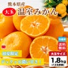 熊本県産　大玉 温室みかん 1.8kg（12玉前後）【送料無料】
