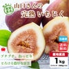 熊本県産直　山口さんの完熟いちじく　4パック（1パック：250ｇ／3～5玉入）【送料無料】
