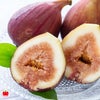 熊本県産直　山口さんの完熟いちじく　4パック（1パック：250ｇ／3～5玉入）【送料無料】