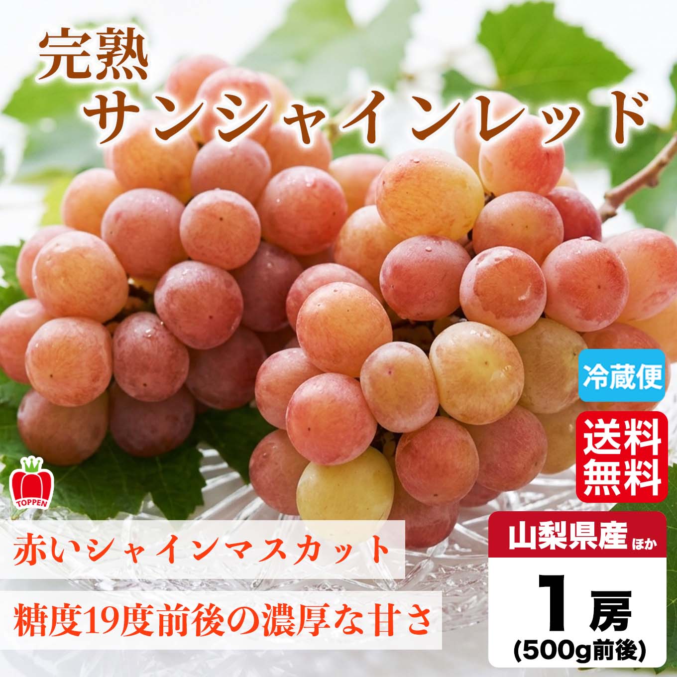 完熟 サンシャインレッド 1房／500g前後 【送料無料】 - とっぺん市場