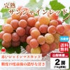  完熟 サンシャインレッド　２房／１房：500ｇ前後 【送料無料】