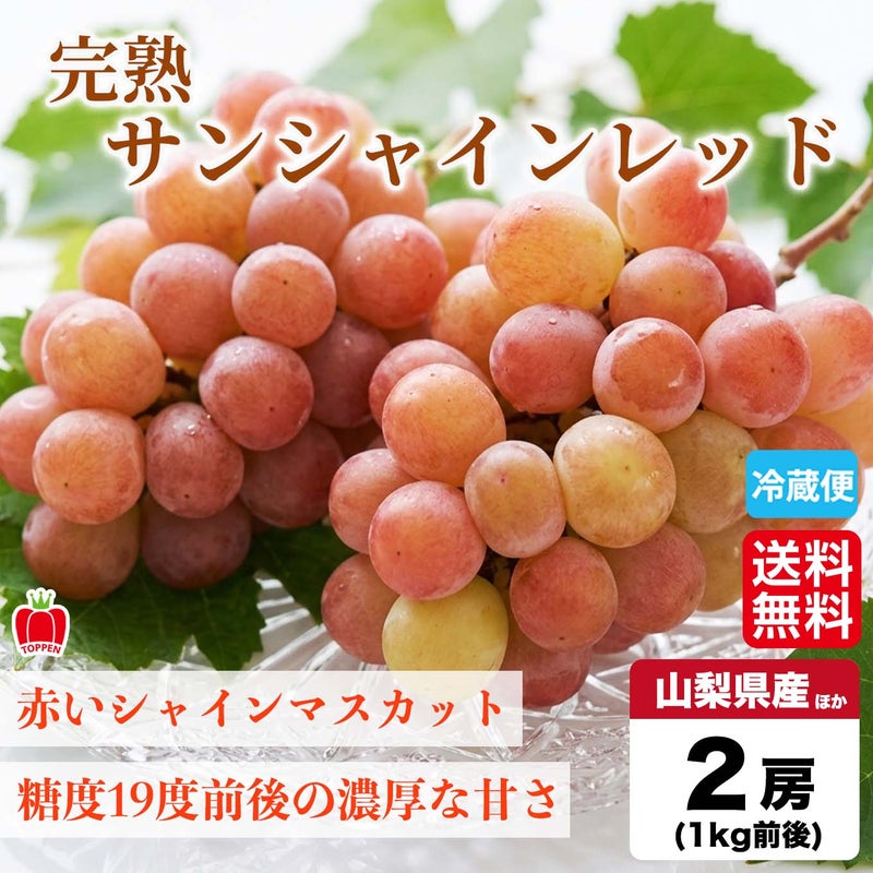  完熟 サンシャインレッド　２房／１房：500ｇ前後 【送料無料】