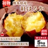 【初物】熊本県産　紅はるか（さつまいも）　５ｋｇ【送料無料