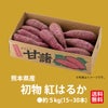 【初物】熊本県産　紅はるか（さつまいも）　５ｋｇ【送料無料】