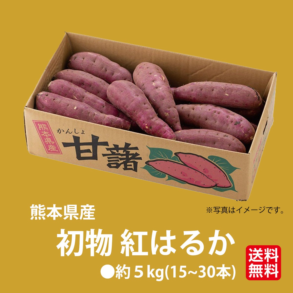 【初物】熊本県産　紅はるか（さつまいも）　５ｋｇ【送料無料】