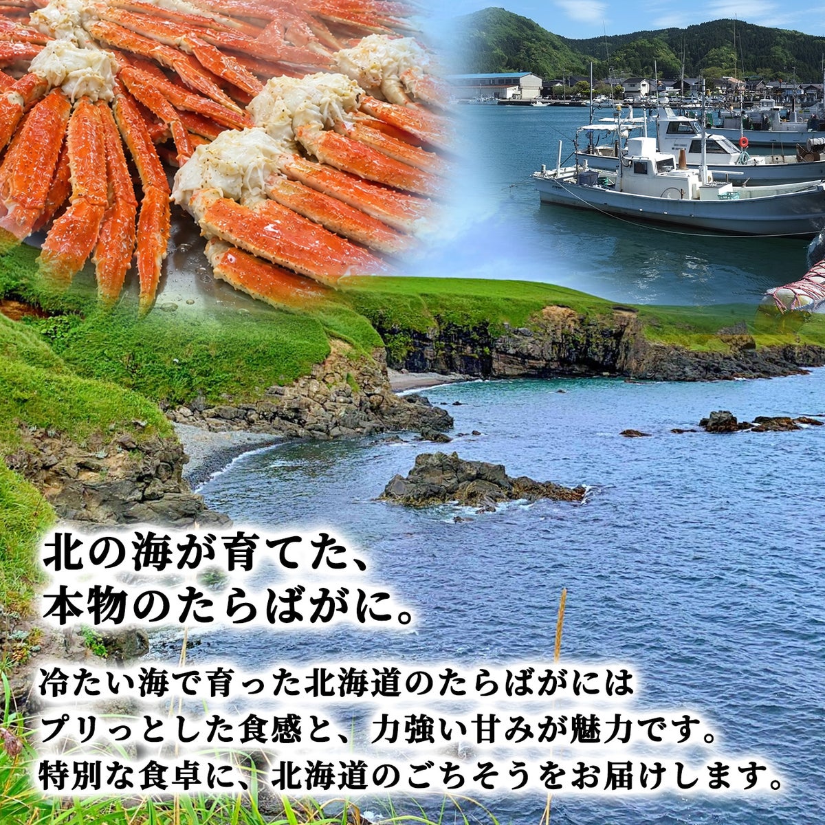 北海道産　タラバガニ（ボイル）脚　約１㎏【送料無料】≪冷凍便≫