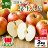 【お徳用】完熟りんご「早生ふじ」 約３kg（８～１４玉入）【送料無料】