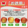 【お徳用】完熟りんご「サンつがる」 約３kg（８～１４玉入）【送料無料】