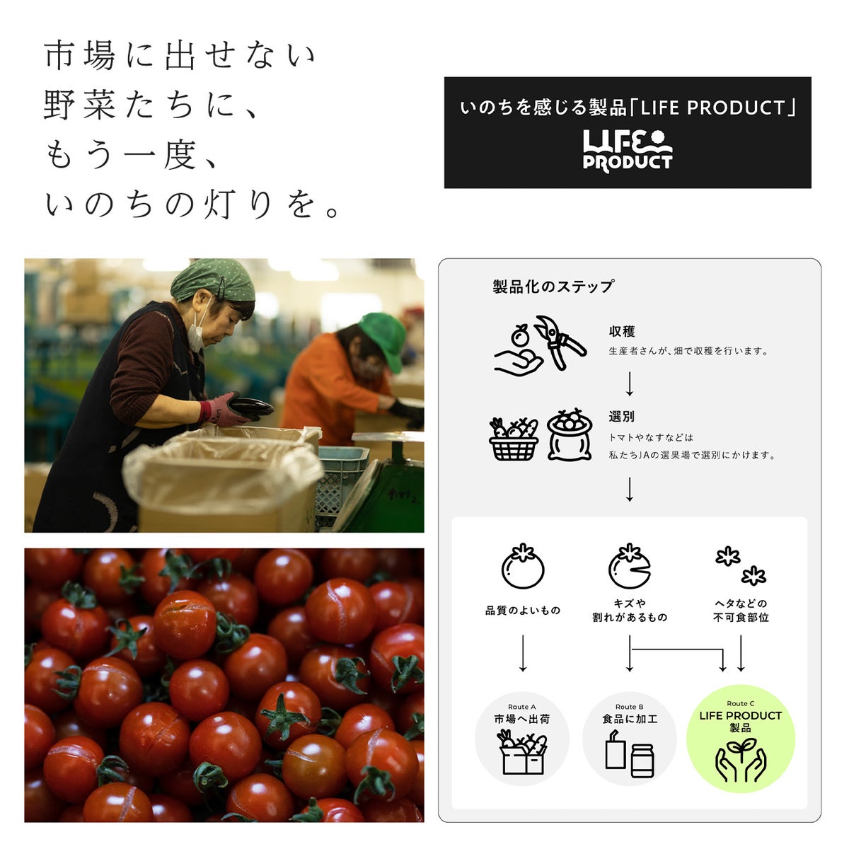 壁に貼る間接照明「灯るおやさい／ナス」