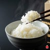  令和８年度産　熊本の青果市場がつくった「大同米」5kg【送料無料】