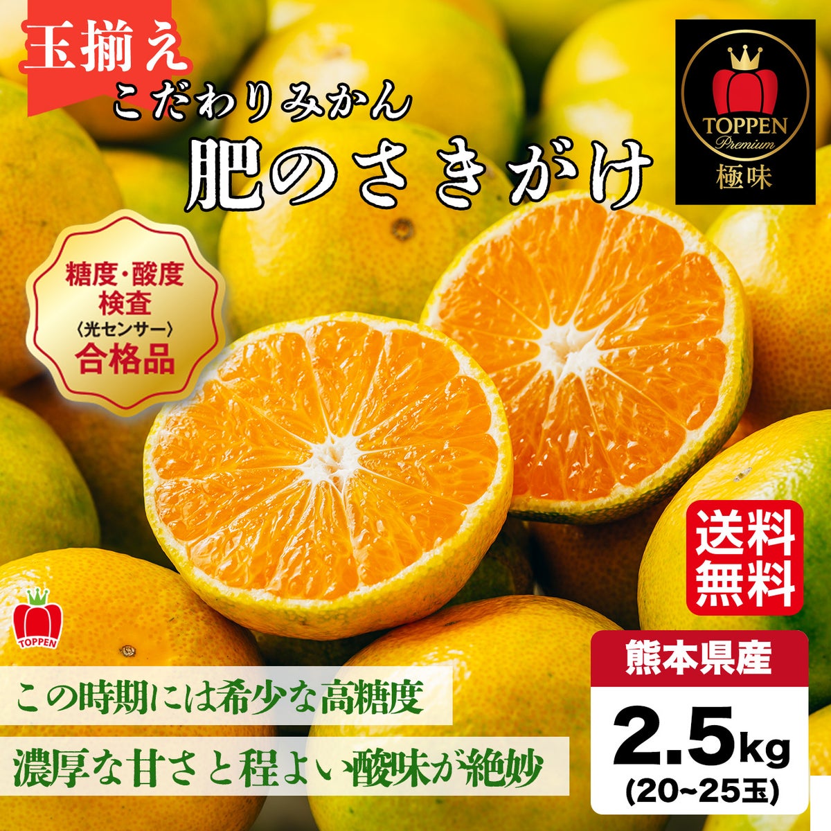 ≪とっぺん極味シリーズ≫こだわりみかん「肥のさきがけ」 約2.5kg（玉揃え／20～25玉入）【送料無料】