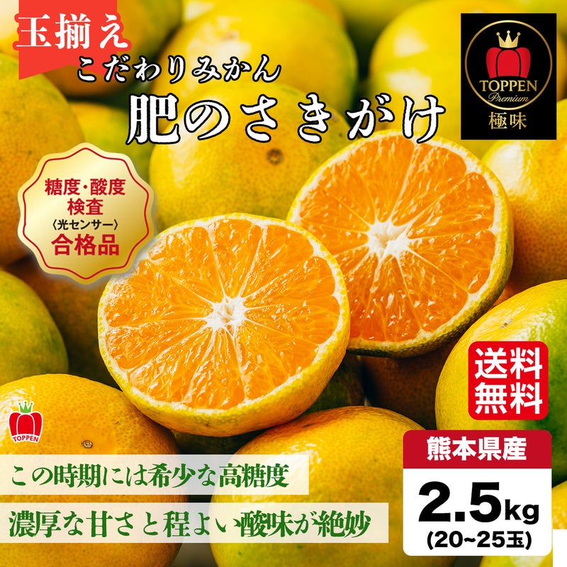 ≪とっぺん極味シリーズ≫こだわりみかん「肥のさきがけ」 約2.5kg（玉揃え／20～25玉入）【送料無料】