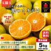 ≪とっぺん極味シリーズ≫こだわりみかん「肥のさきがけ」 約５kg（玉揃え／40～50玉入）【送料無料】