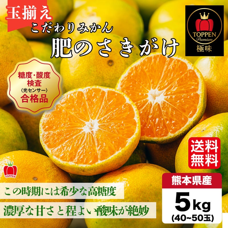 ≪とっぺん極味シリーズ≫こだわりみかん「肥のさきがけ」 約５kg（玉揃え／40～50玉入）【送料無料】
