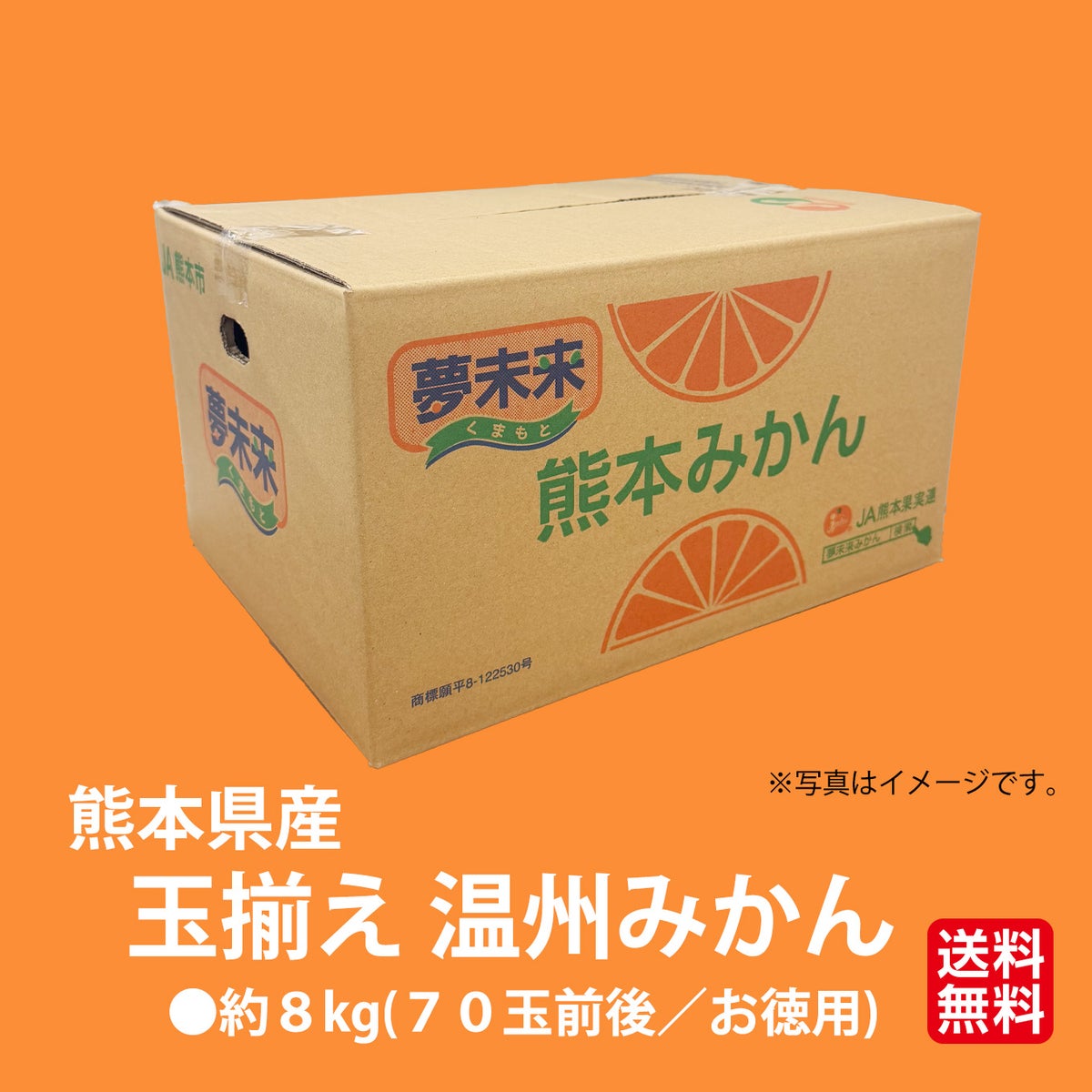 【お徳用】玉揃え 温州みかん 約８kg（７０玉前後／ＬかMサイズの玉揃え）【送料無料】