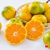 【お徳用】玉揃え 温州みかん 約８kg（７０玉前後／ＬかMサイズの玉揃え）【送料無料】
