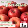 青森・長野県産 完熟 大玉早生ふじ　りんご 約５kg（１２～１４玉入）【送料無料】