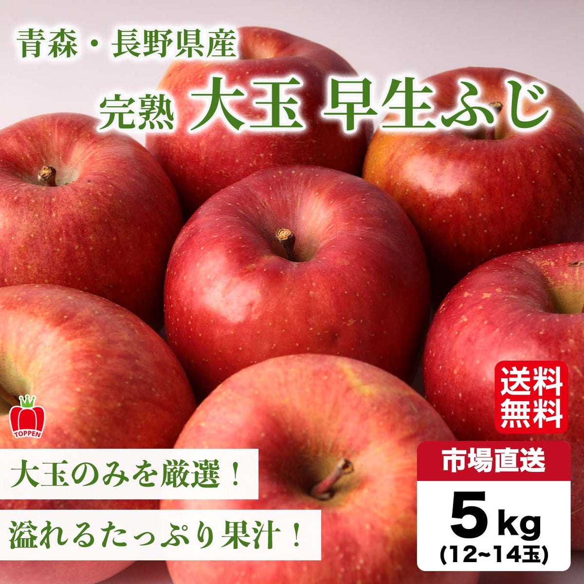 青森・長野県産 完熟 大玉早生ふじ　りんご 約５kg（１２～１４玉入）【送料無料】