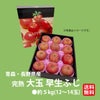 青森・長野県産 完熟 大玉早生ふじ　りんご 約５kg（１２～１４玉入）【送料無料】